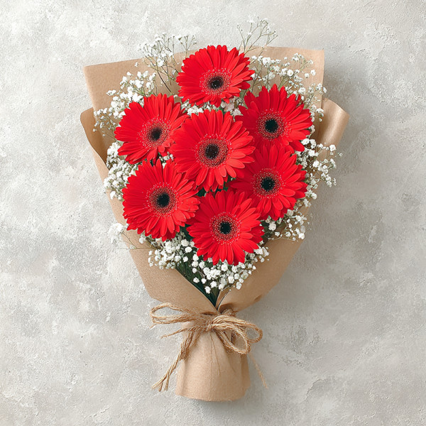 Red Gerbera Rhapsody